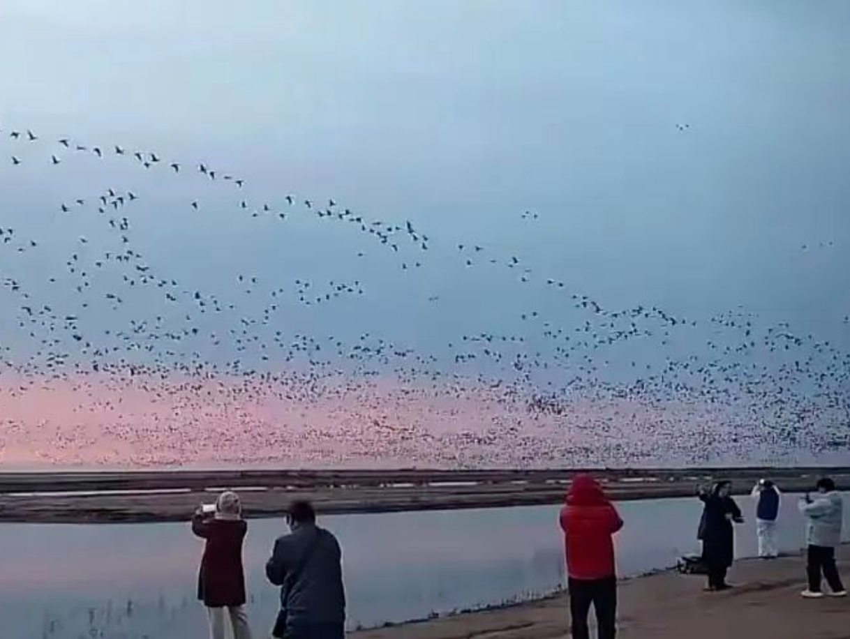 ScreenShot_2026-07-10_100729_200